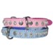 dog collar/lead swastik international 21